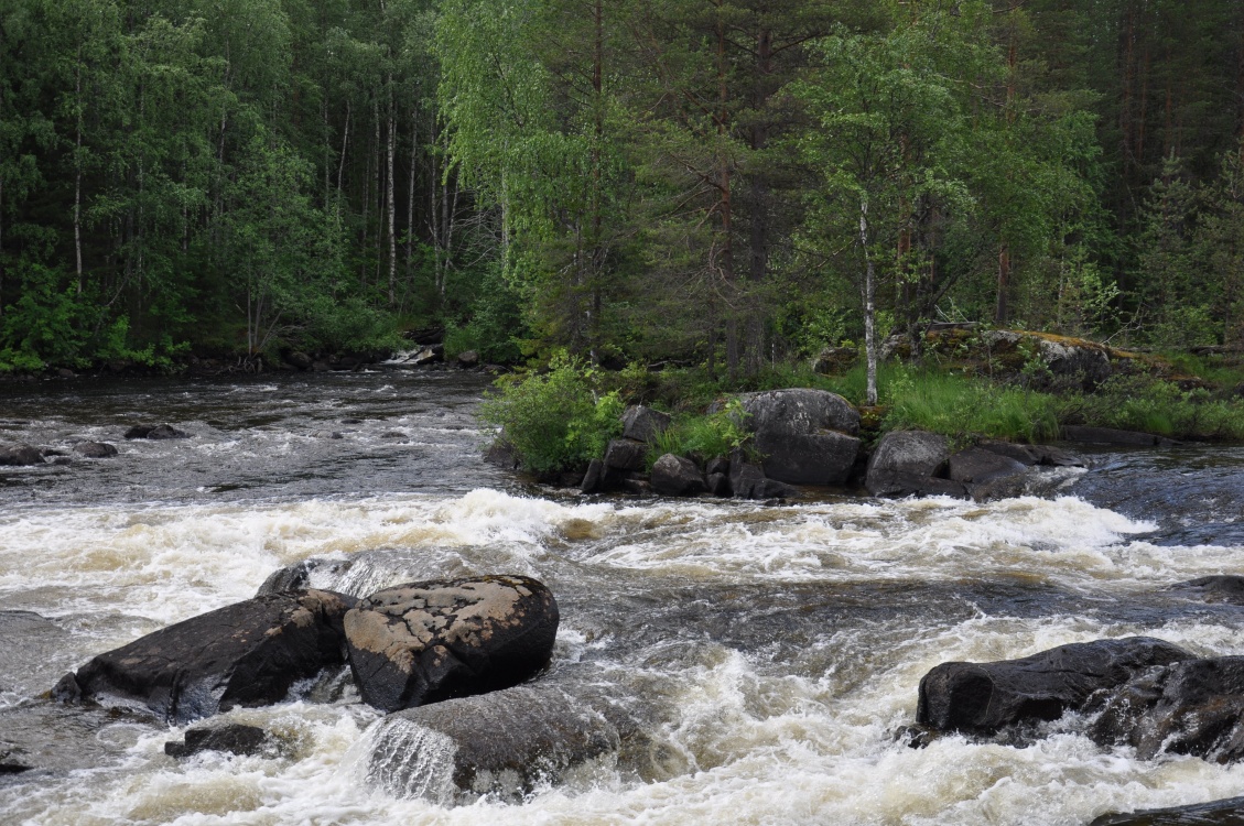 Река Кереть и безграничное Белое море (14/35)