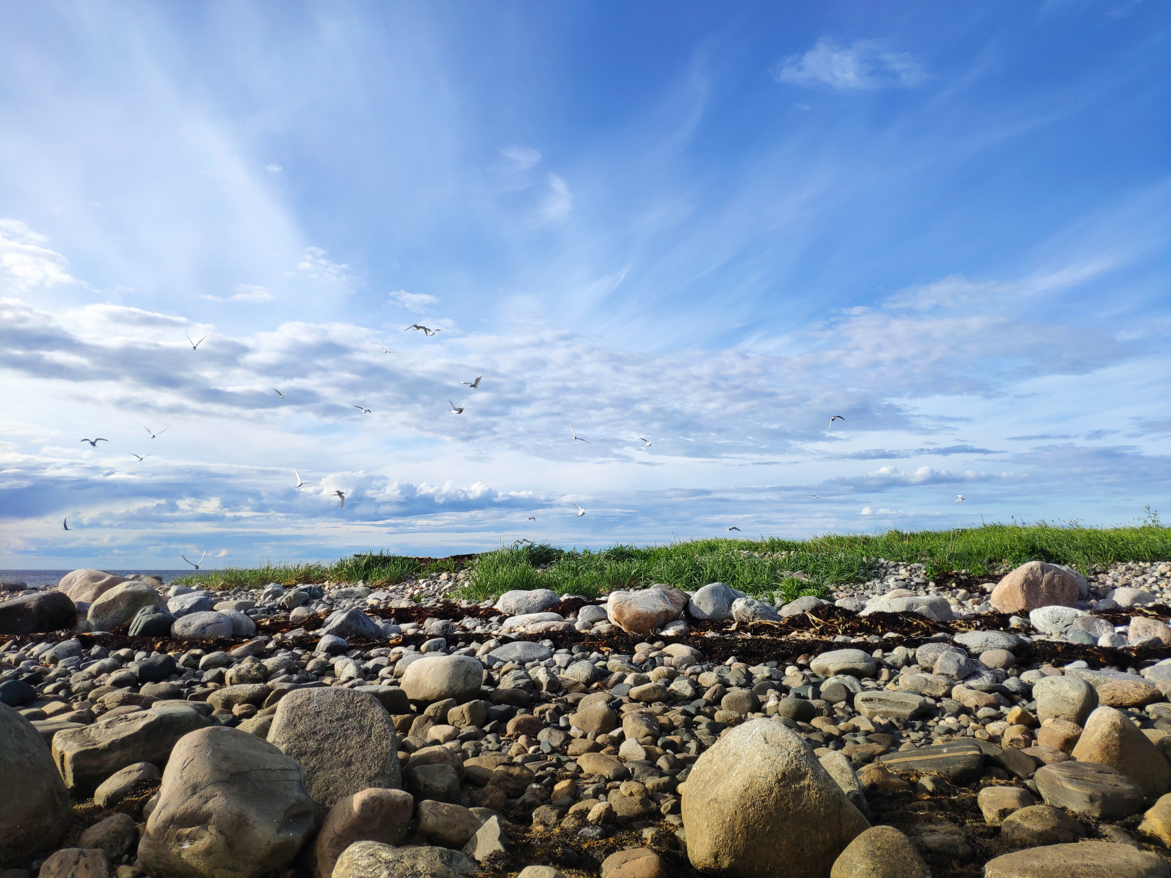 По Белому морю на морских каяках (13/33)
