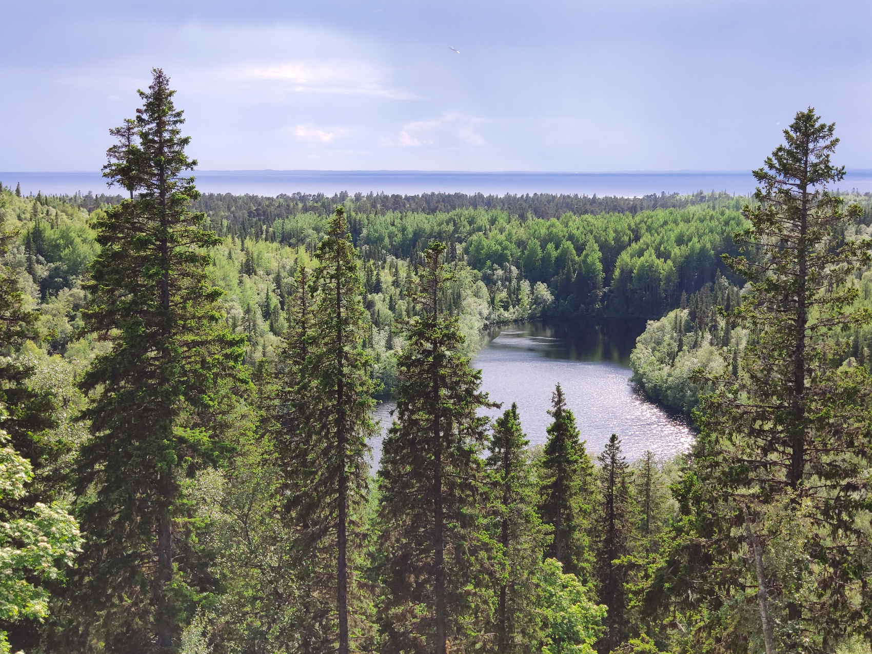 По Белому морю на морских каяках (5/33)