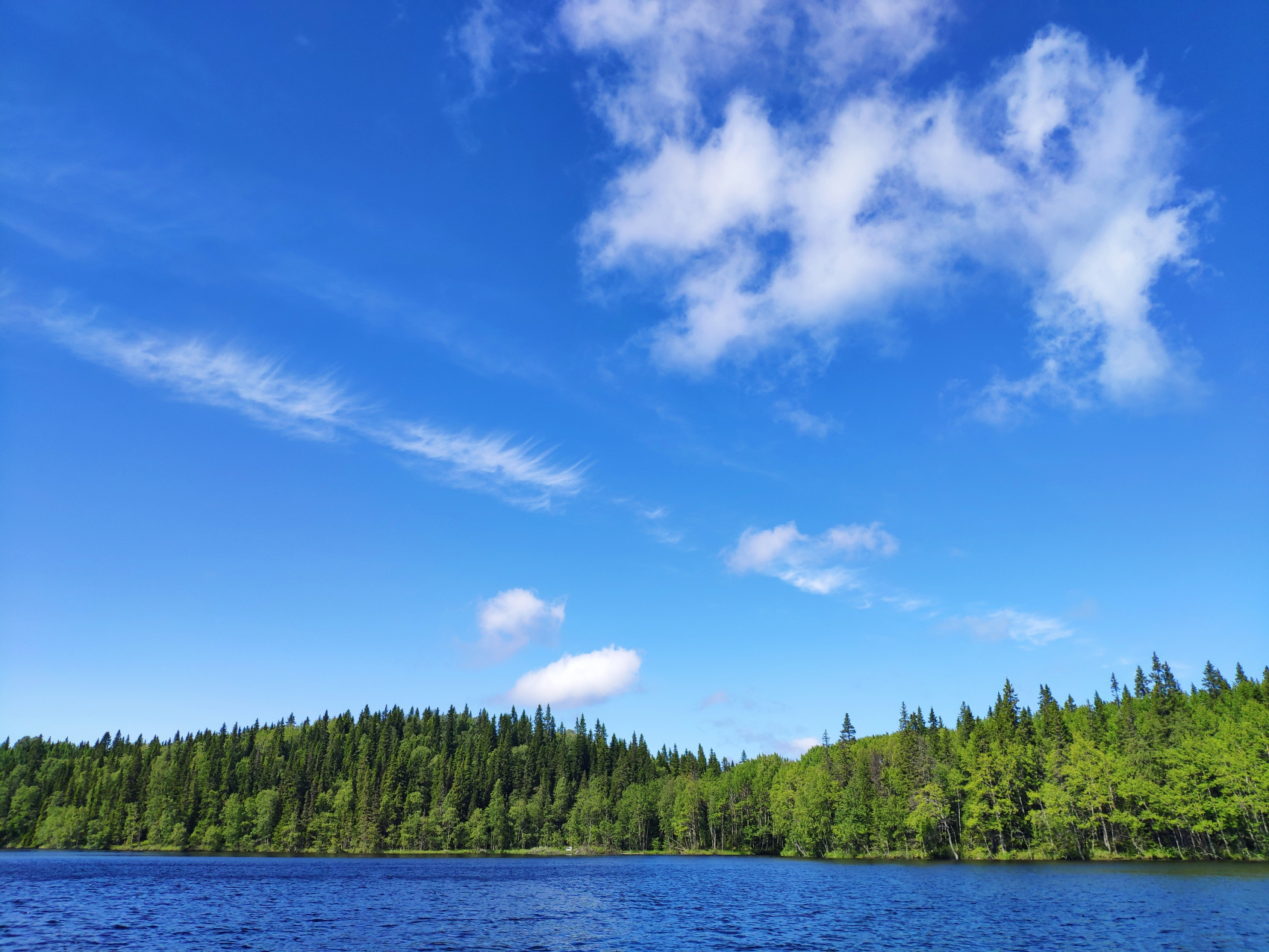 По Белому морю на морских каяках (2/33)