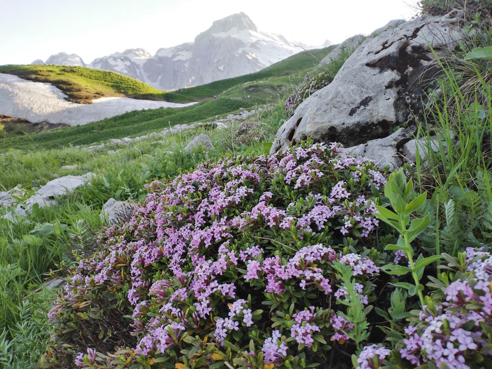 Всесоюзный маршрут 30: через горы к морю (поход) (7/33)