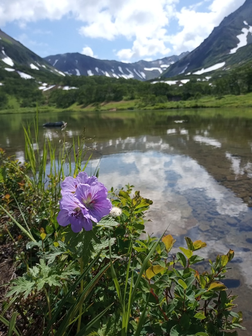  Вся Камчатка за 12 дней (всё включено) (6/44)