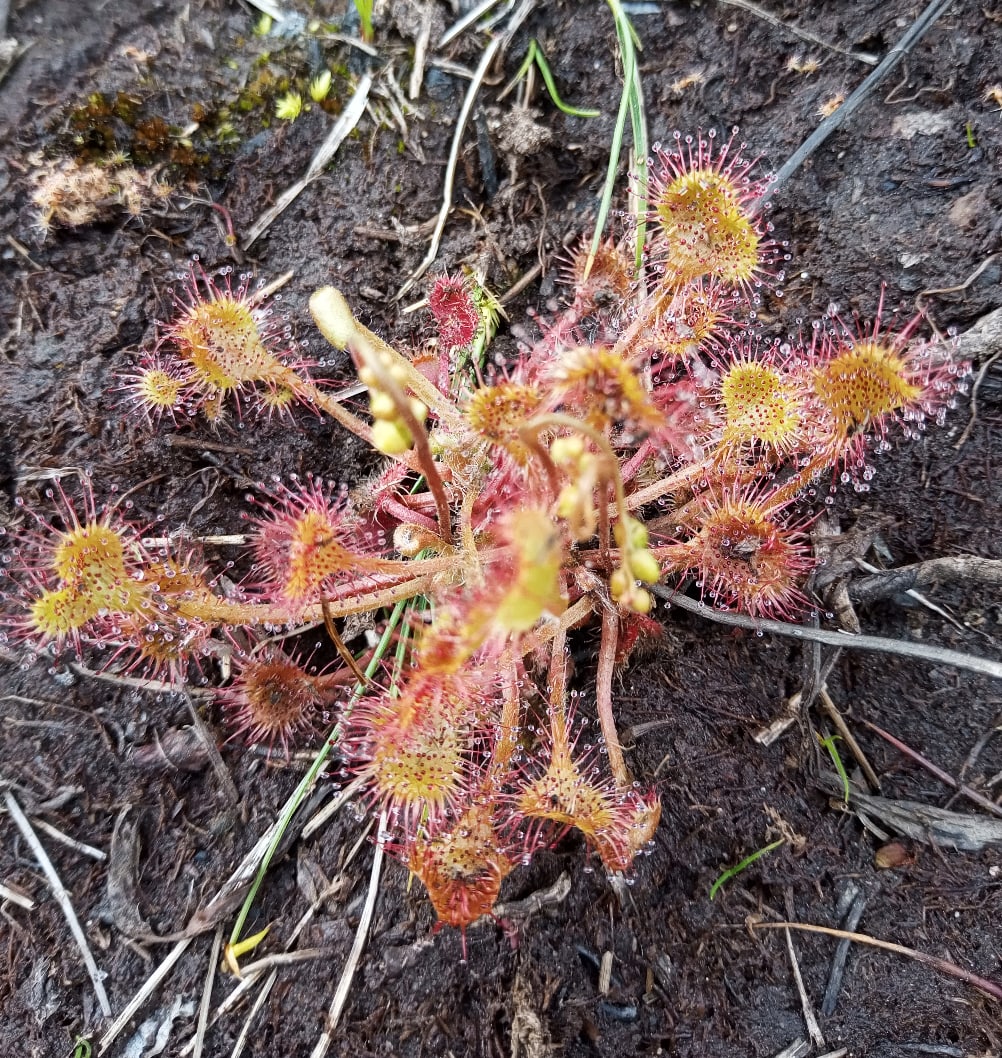  Вся Камчатка за 12 дней (всё включено) (8/44)