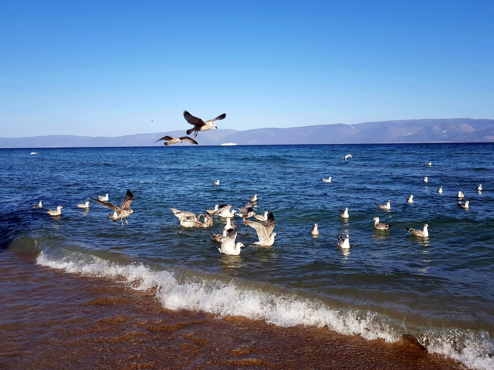 Алмазные грани Байкала (2/30)