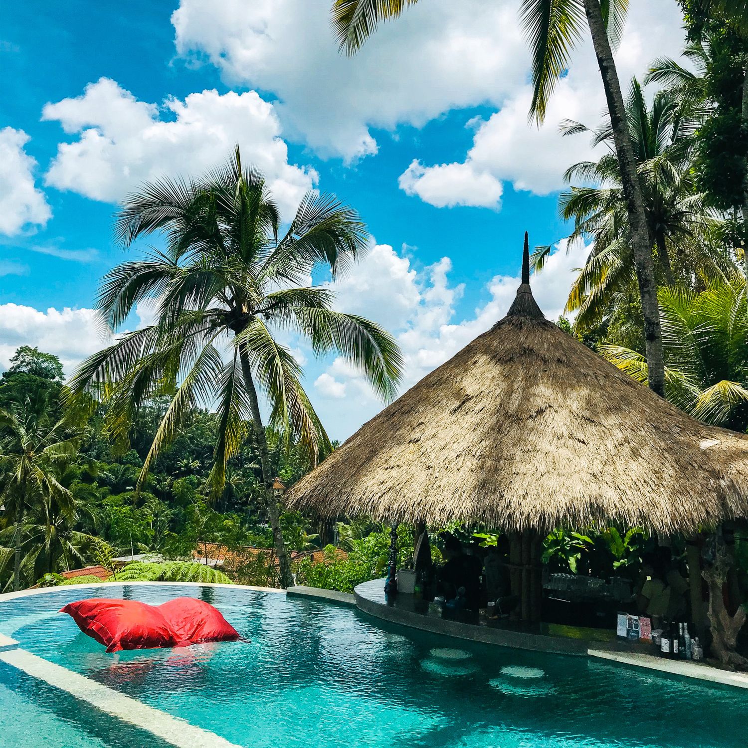 Тур на Бали: остров за 9 дней (15/57)