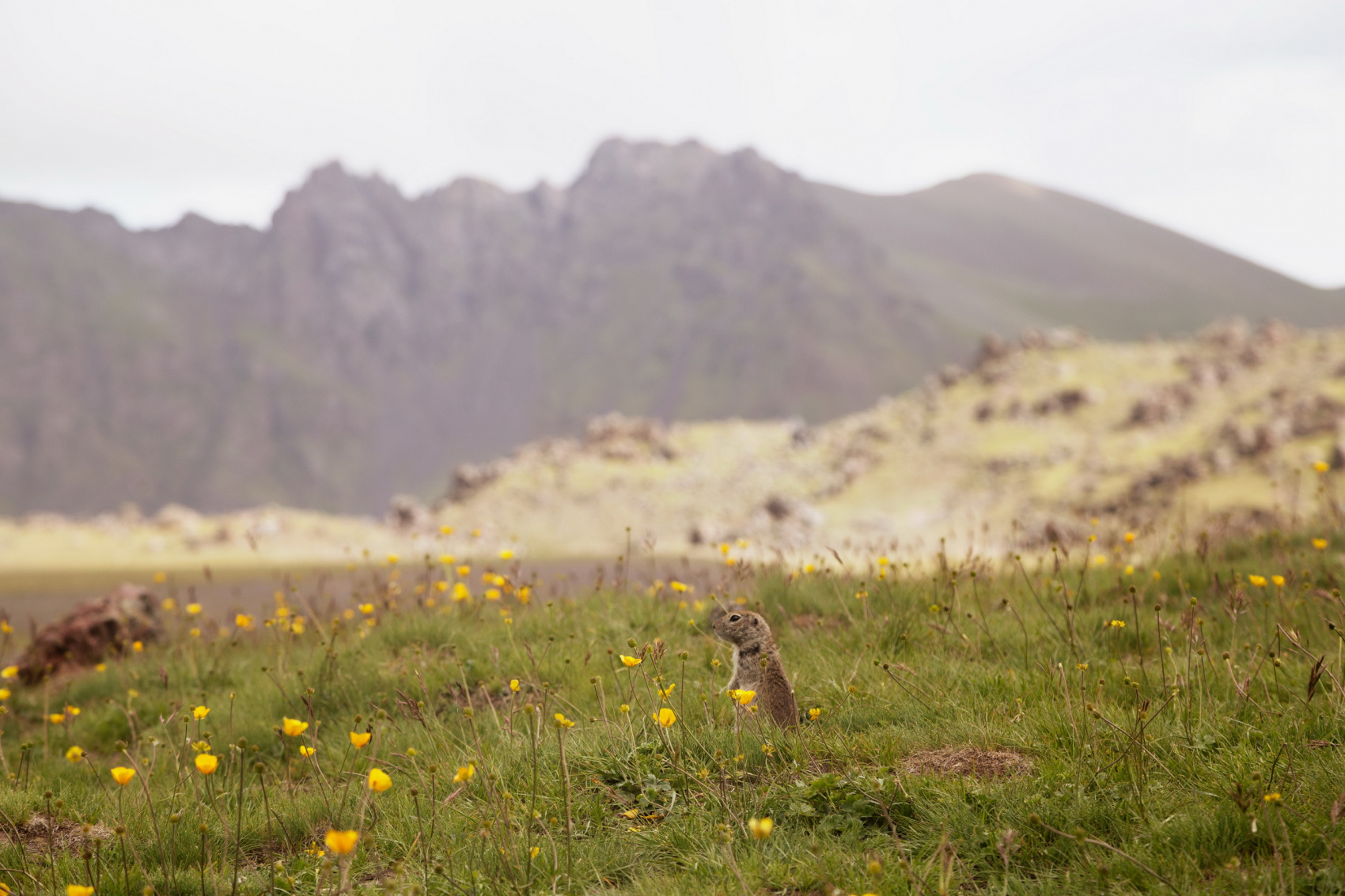 Восхождение Эльбрус с Севера (33/61)