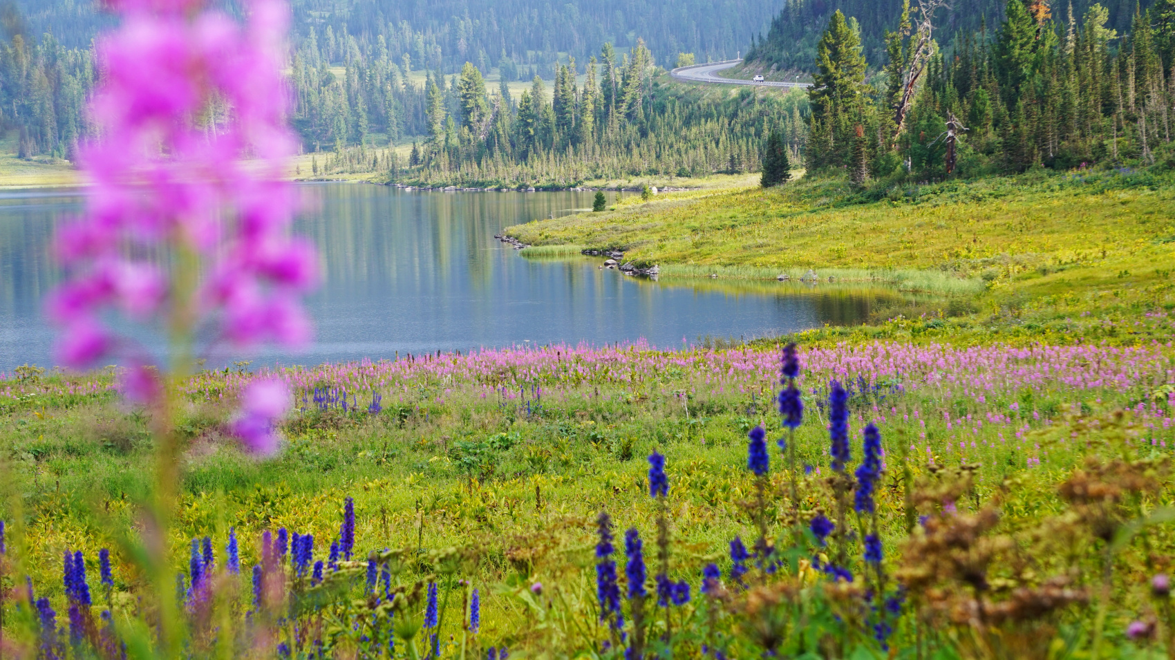 Эко-тур Сердце Саян (42/64)