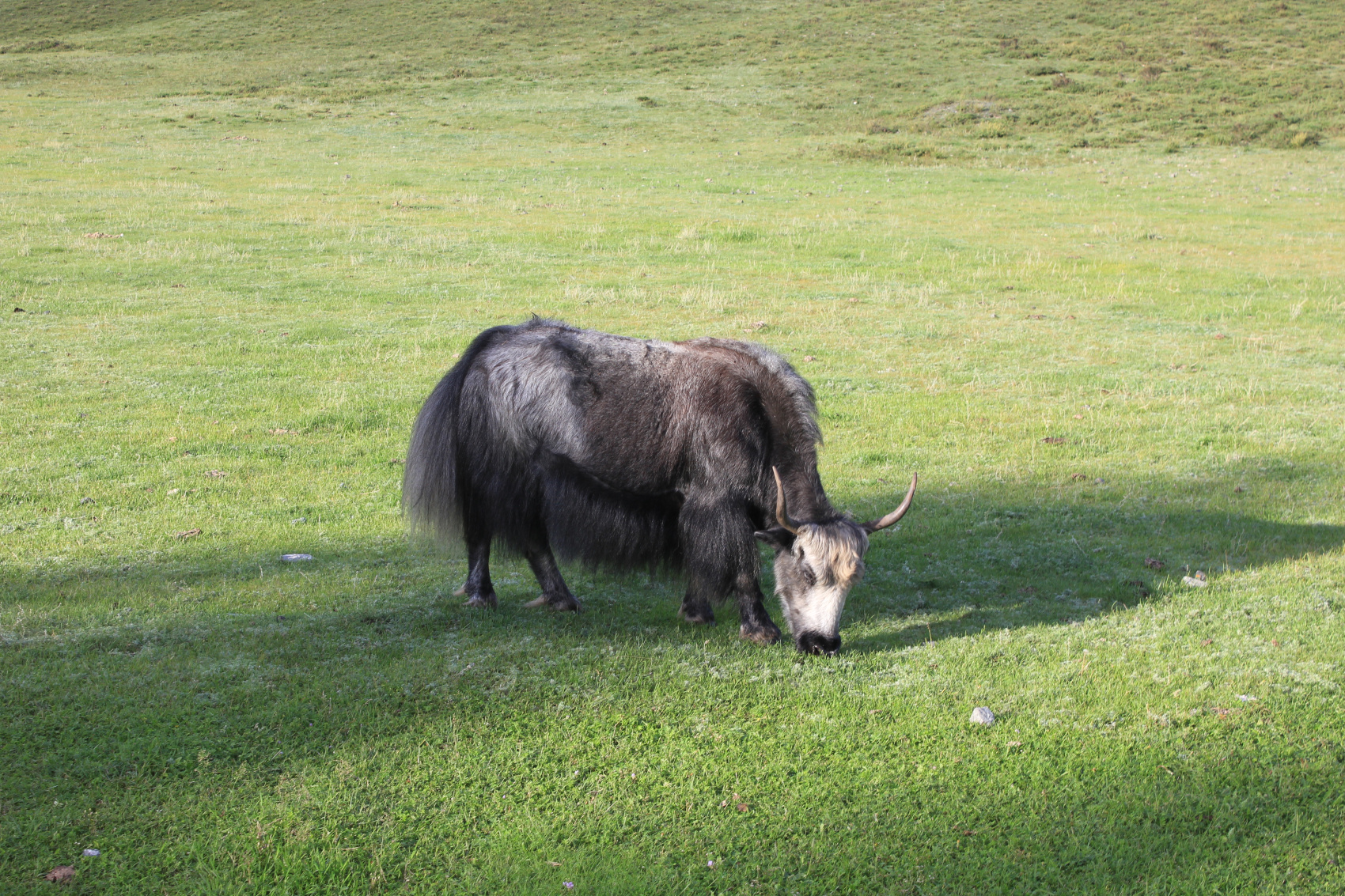 Эко-тур Сердце Саян (32/64)