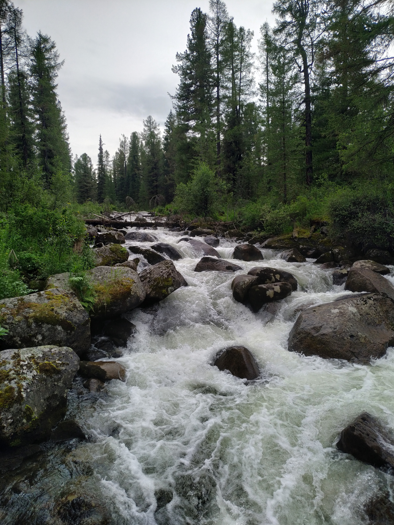 Эко-тур Сердце Саян (26/64)