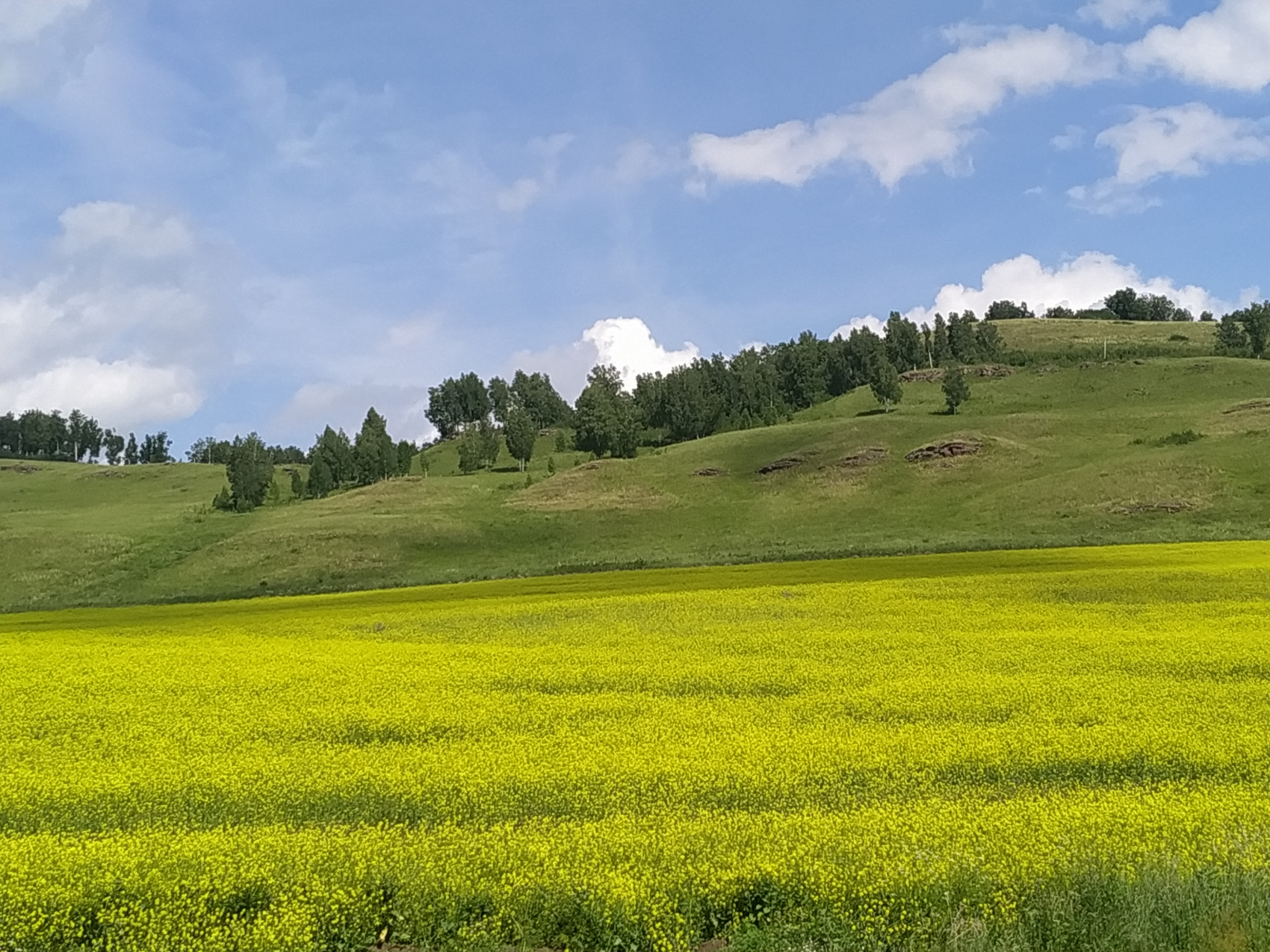 Эко-тур Сердце Саян (24/64)