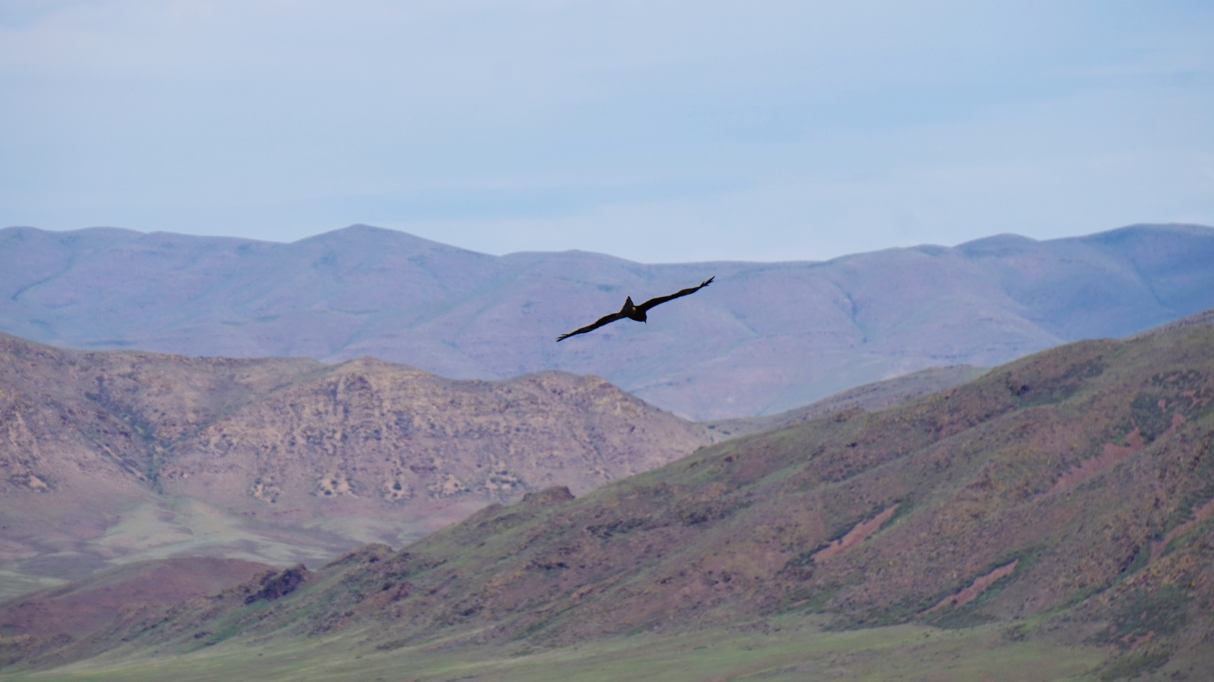 Эко-тур Сердце Саян (41/64)