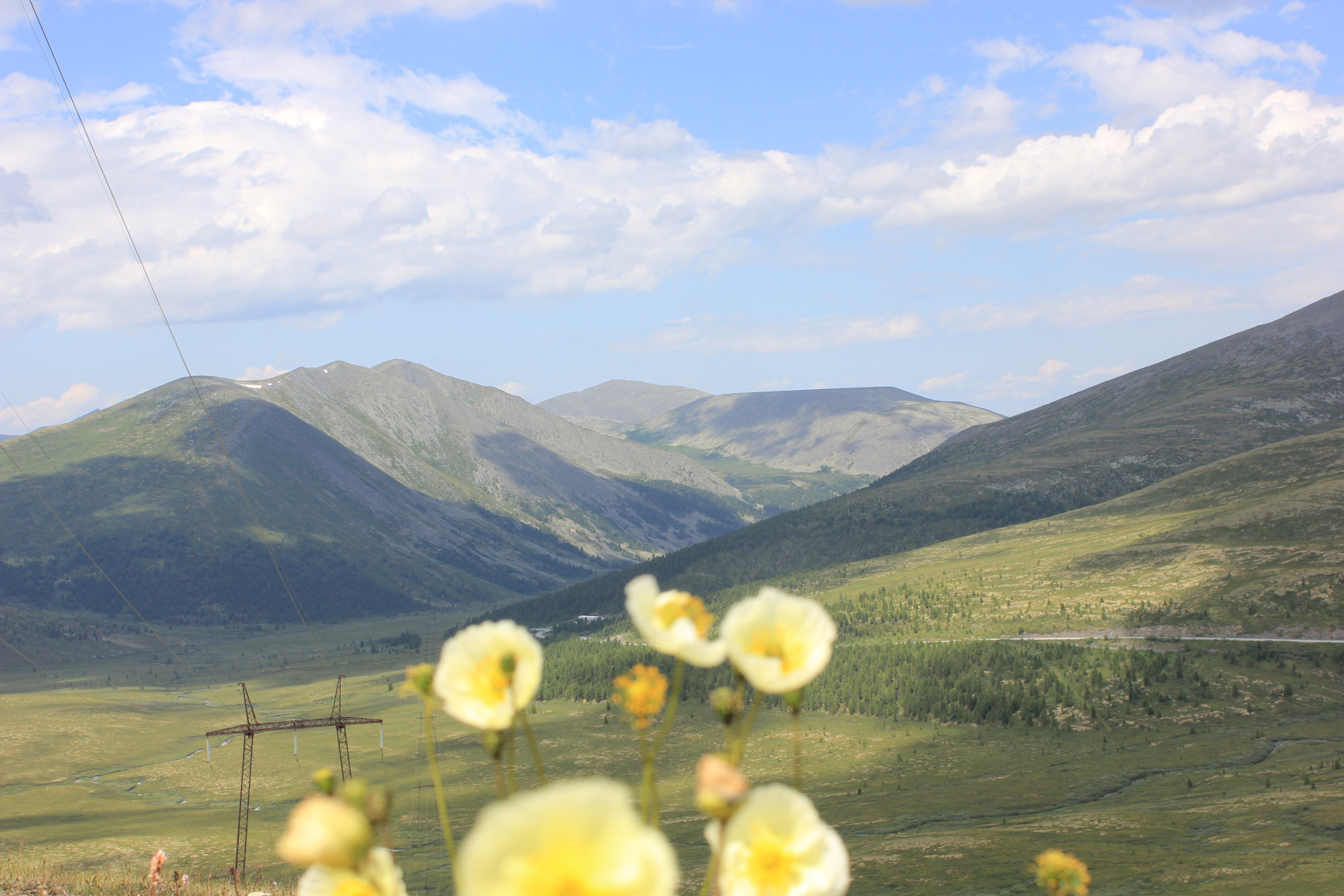 Эко-тур Сердце Саян (34/64)
