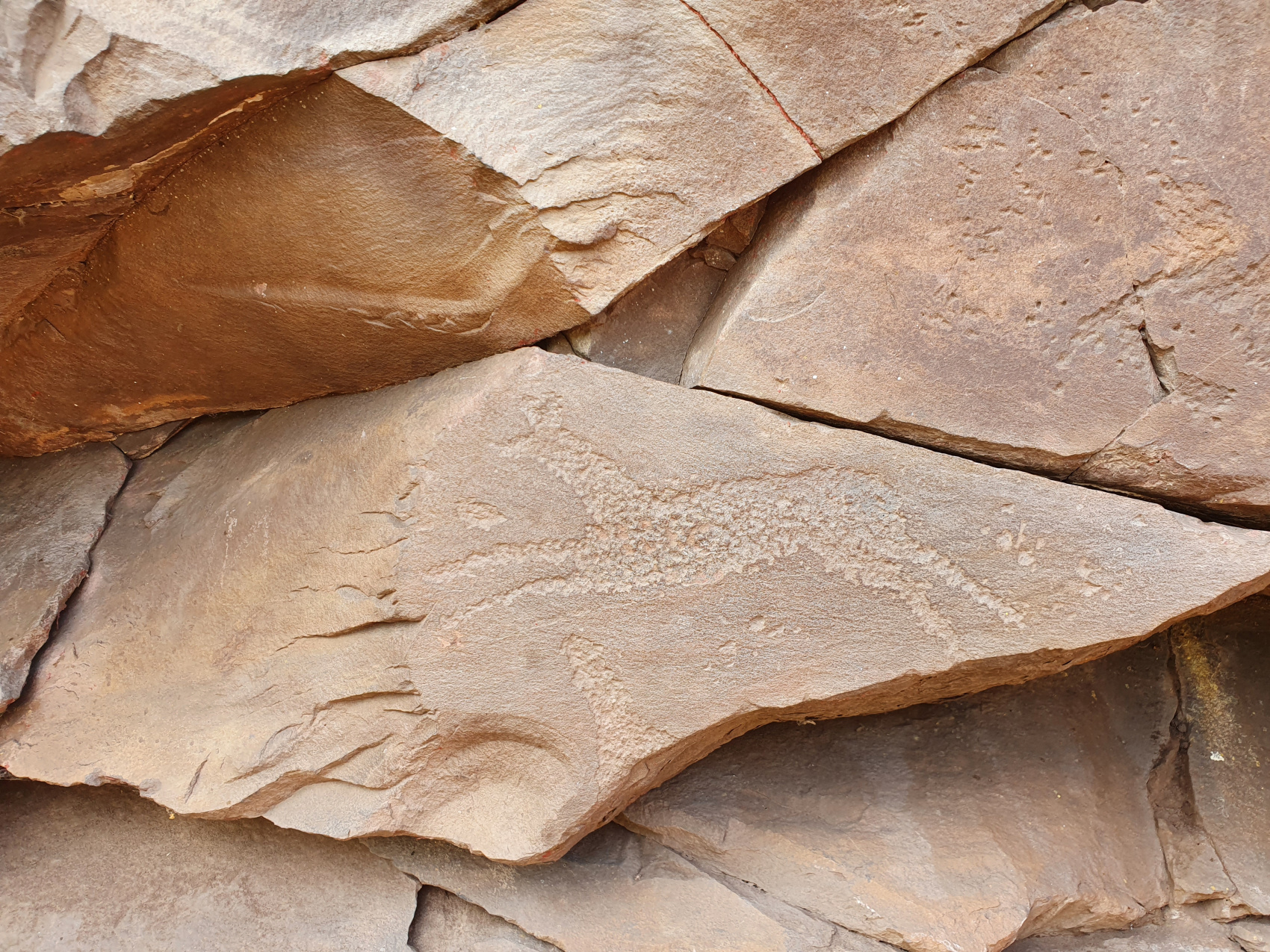 Эко-тур Сердце Саян (14/64)