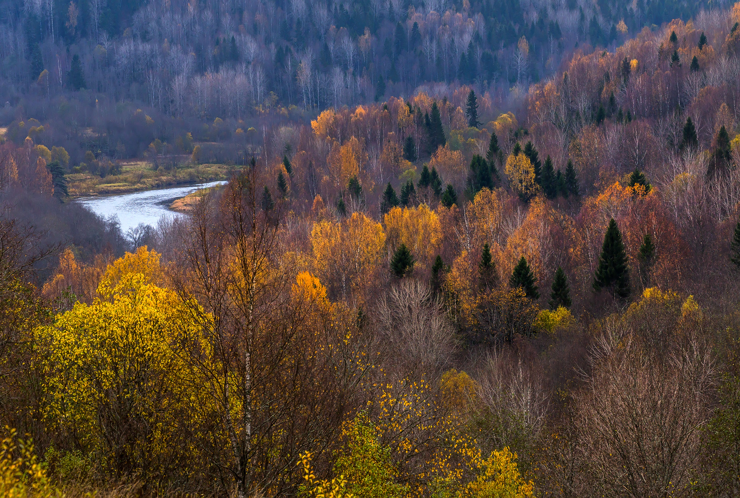 Тур по глухим деревням. 5 дней между Ладогой и Онегой. (7/13)