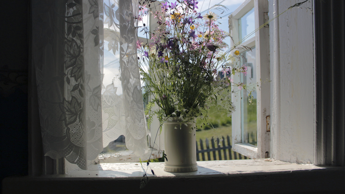 Тур по глухим деревням. 5 дней между Ладогой и Онегой. (2/13)