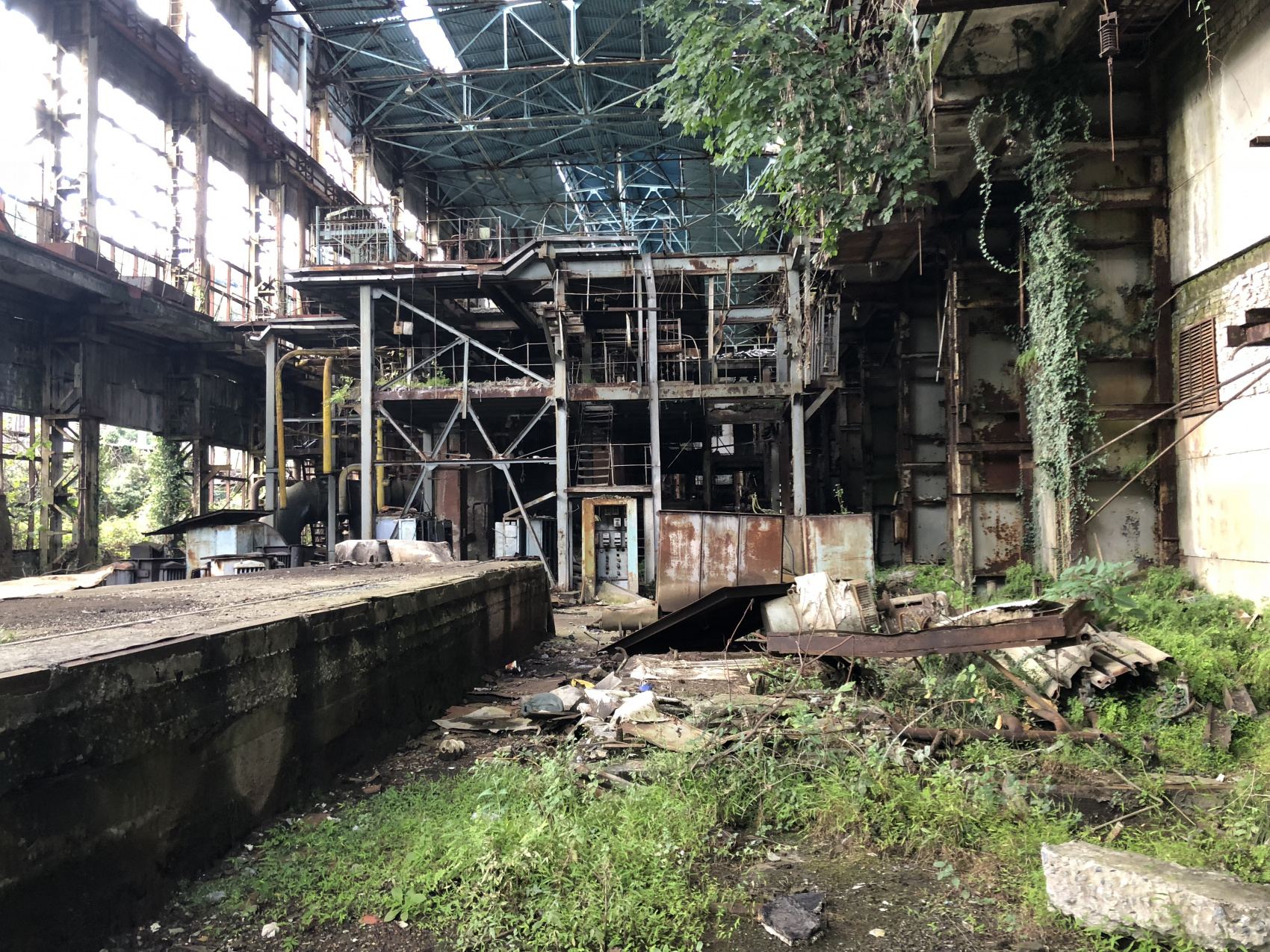 Вся АБХАЗИЯ за 2 дня (17/34)