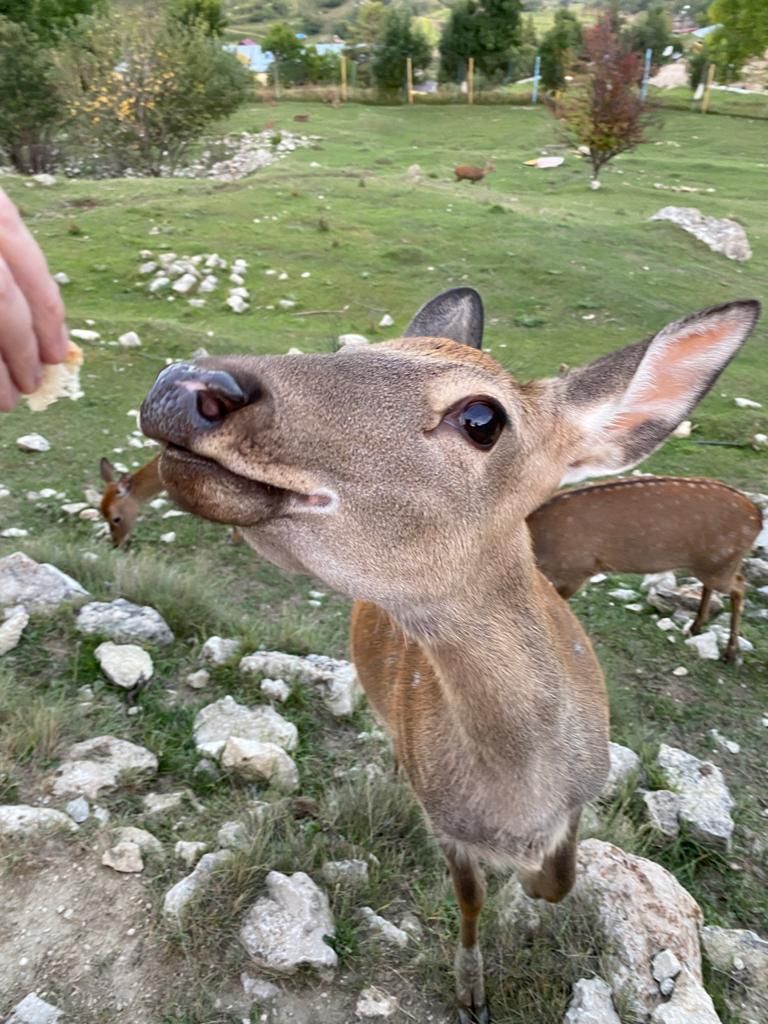 Сказочный ДАГЕСТАН  (32/66)