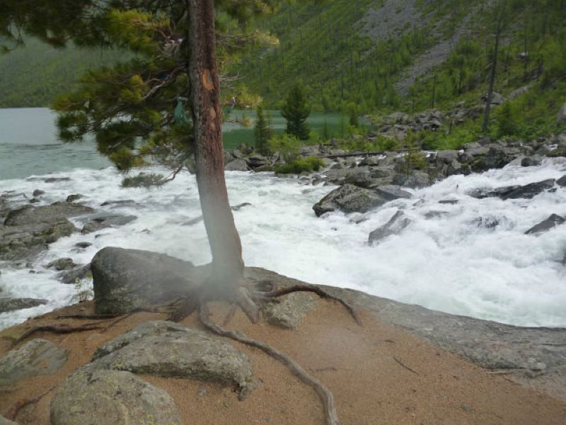 В высокогорье Алтая