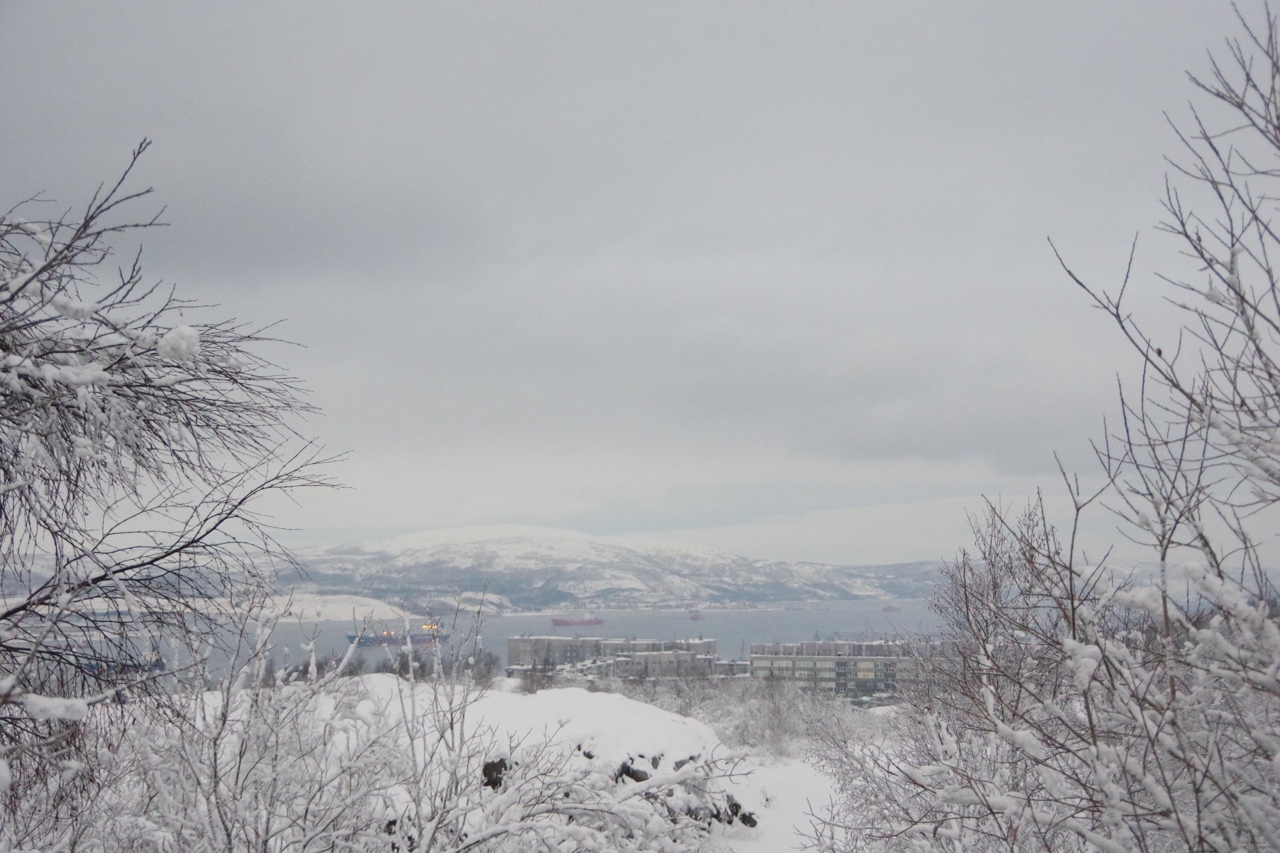 Зима за полярным кругом. (11/22)