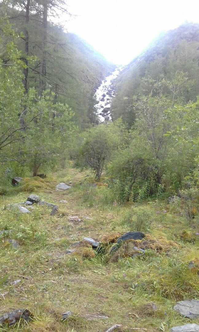 По Ороктойской тропе к подножию Белухи (13/37)