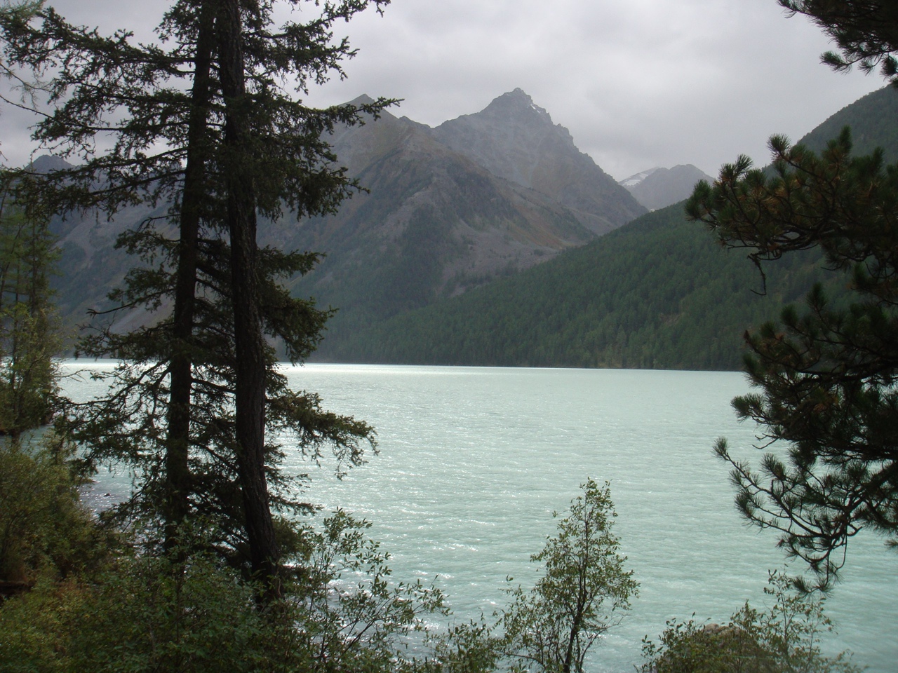 По Ороктойской тропе к подножию Белухи (3/37)