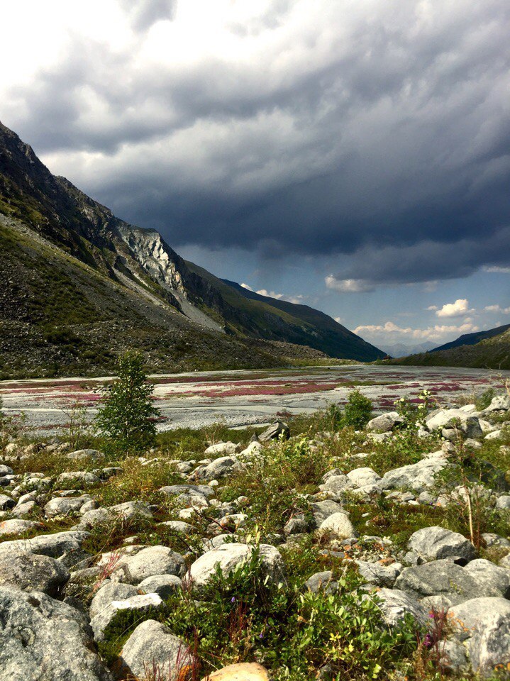 По Ороктойской тропе к подножию Белухи (15/37)