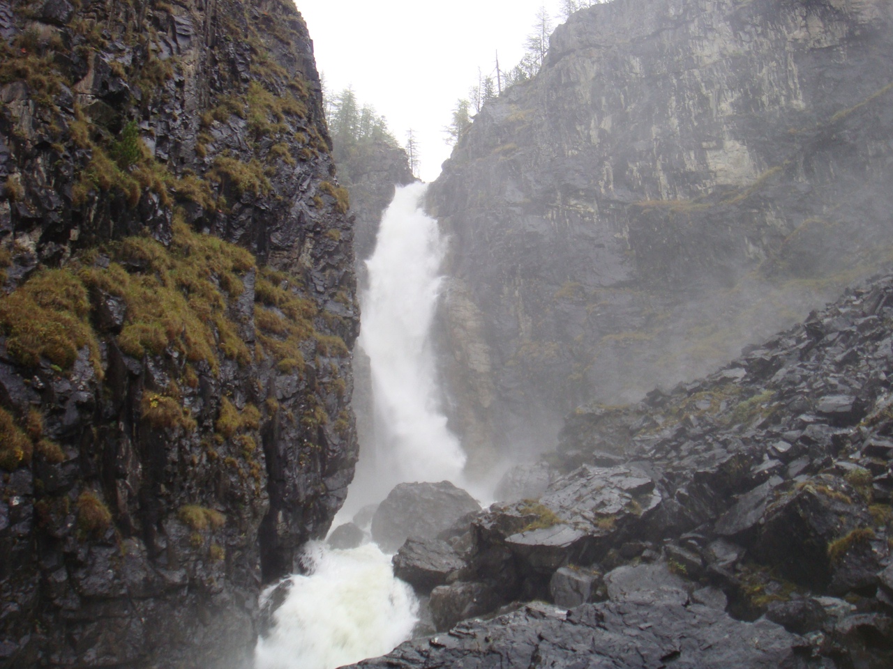 По Ороктойской тропе к подножию Белухи (16/37)