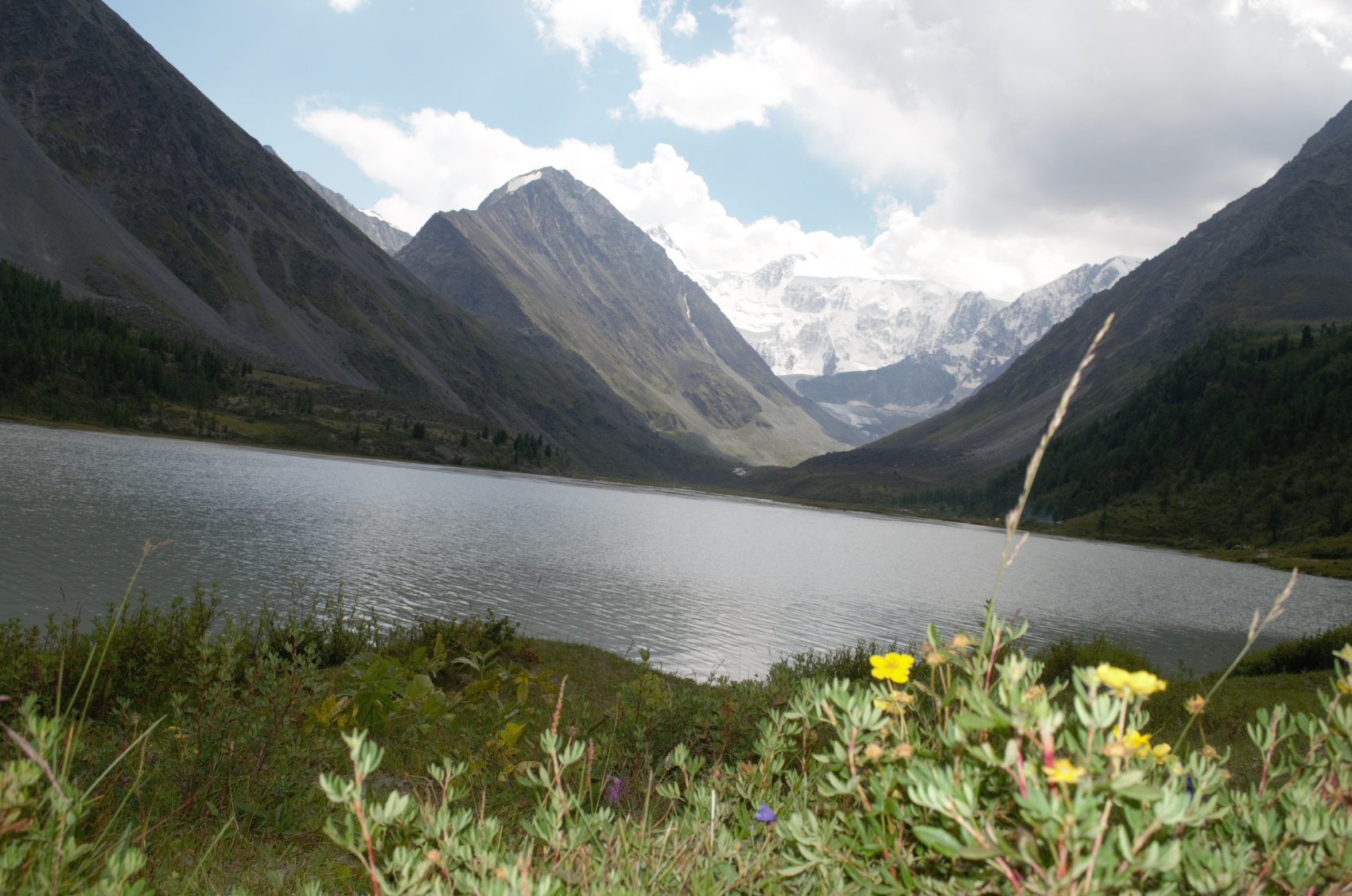 По Ороктойской тропе к подножию Белухи (5/37)