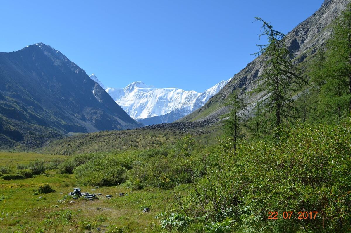 По Ороктойской тропе к подножию Белухи (10/37)
