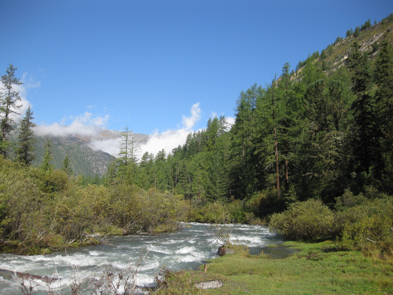 По Ороктойской тропе к подножию Белухи (19/37)