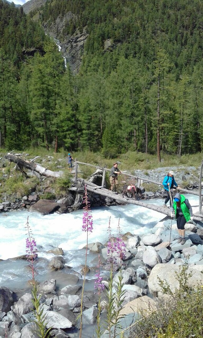 Кольцевой маршрут к Белухе. (2/47)