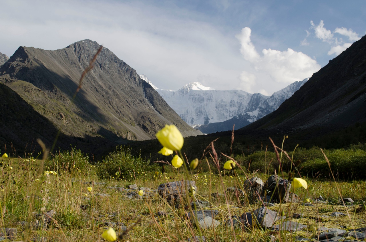 Кольцевой маршрут к Белухе. (11/47)