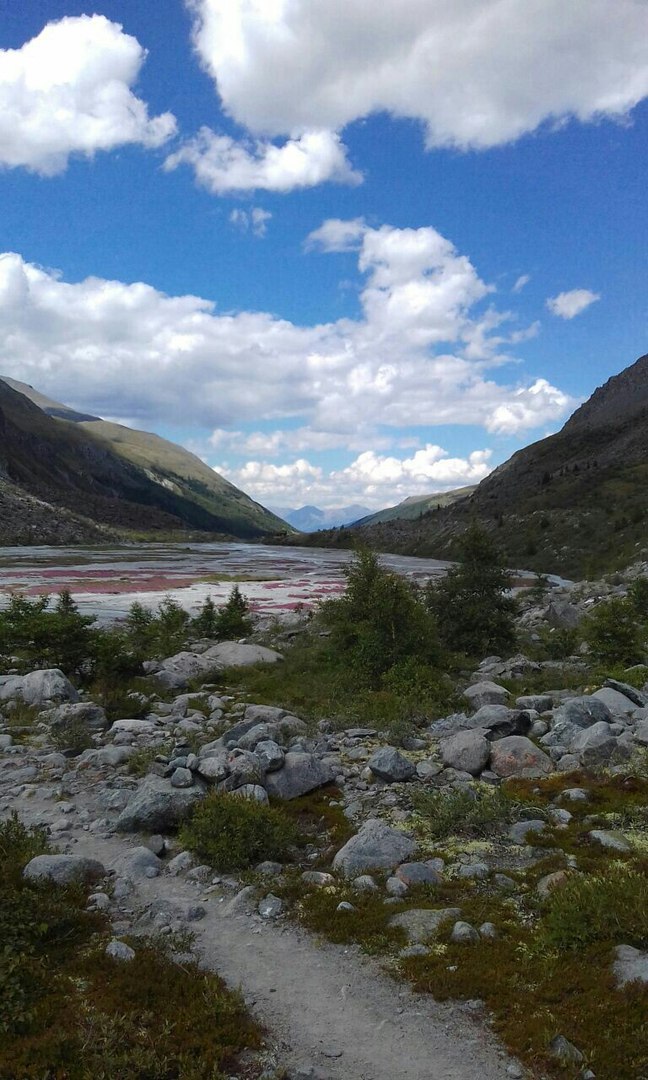 Кольцевой маршрут к Белухе. (12/47)