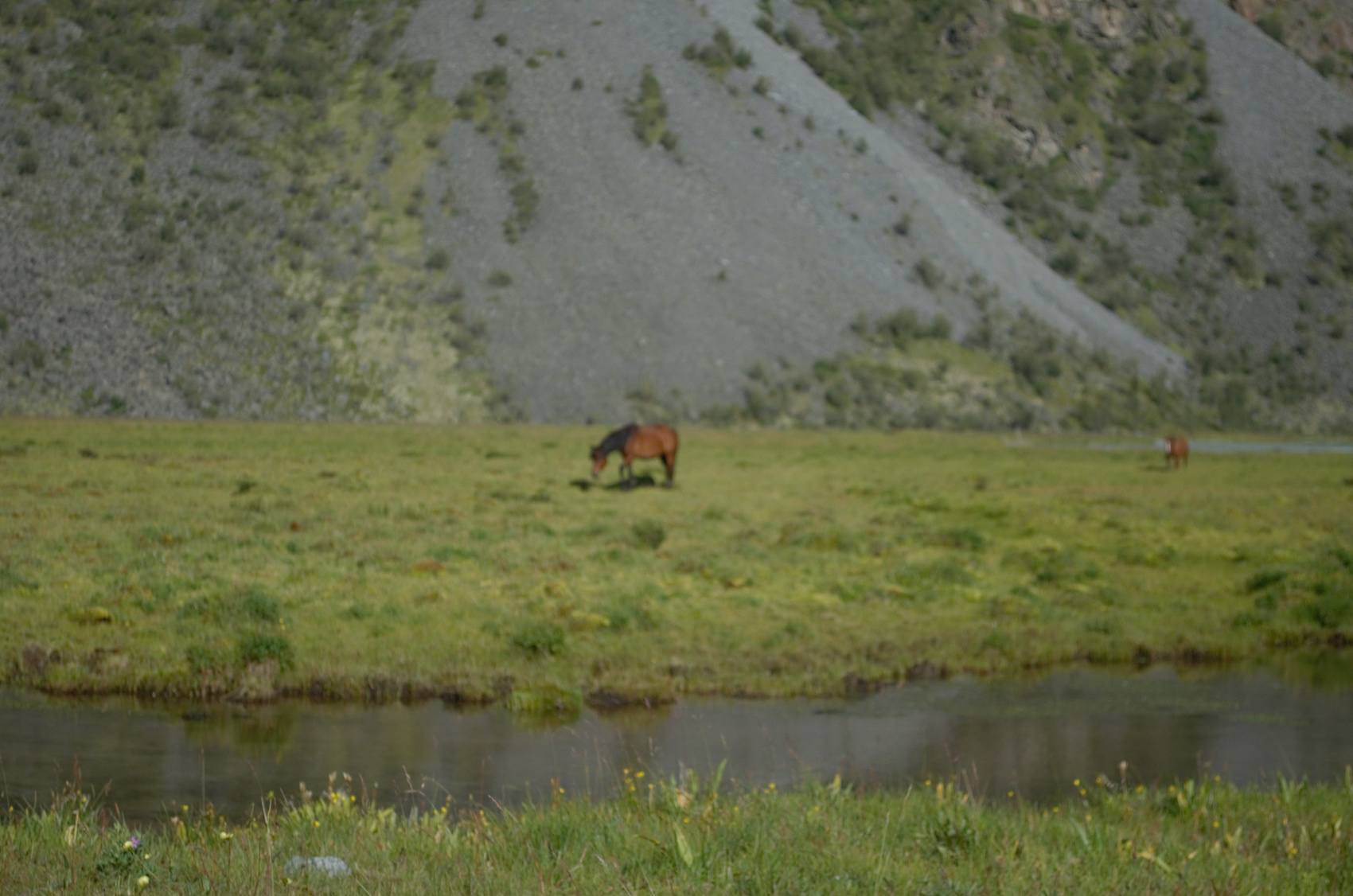 Кольцевой маршрут к Белухе. (19/47)