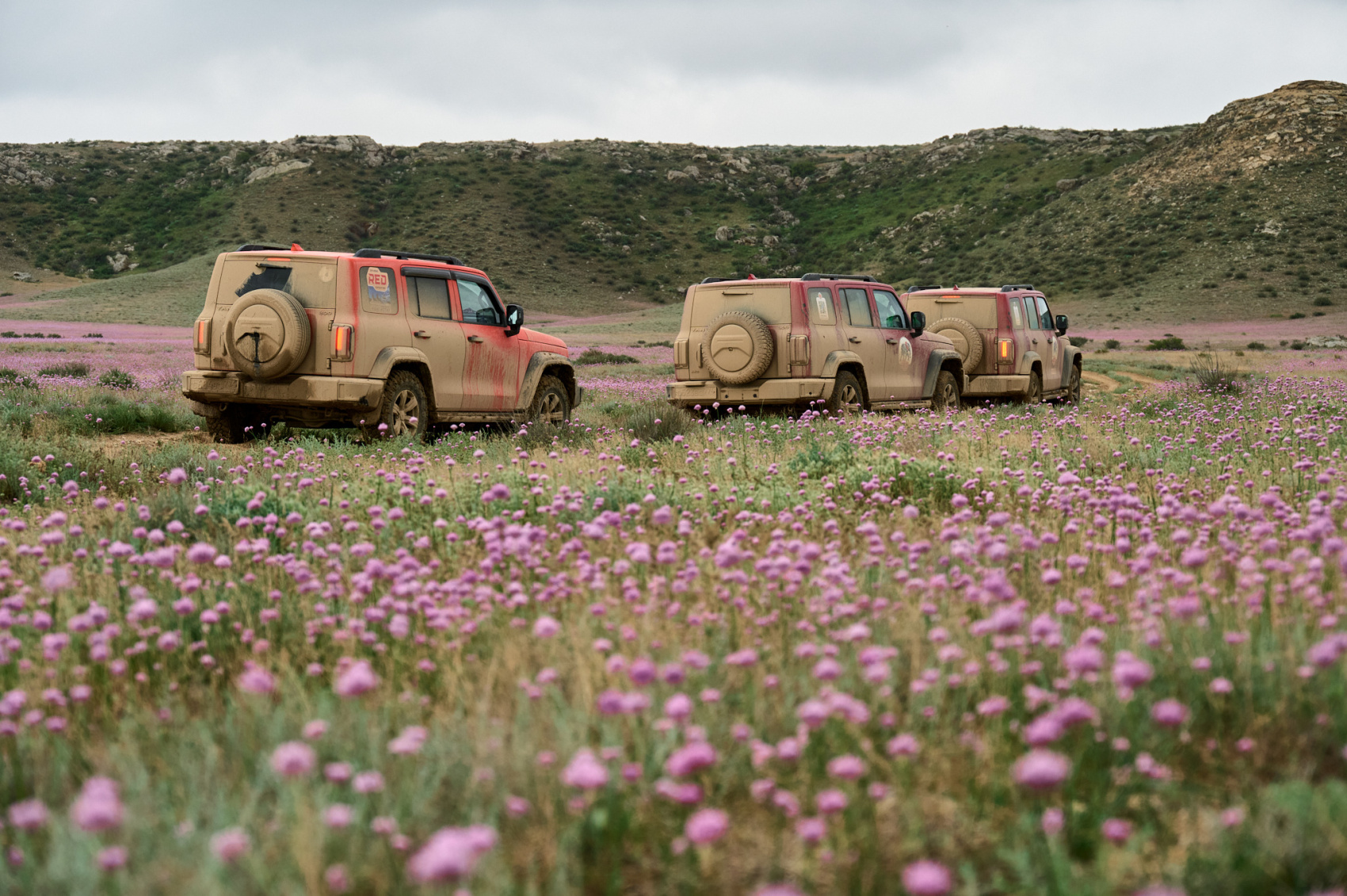 Открывая Мангистау - комфортное путешествие по красивейшим местам (7/38)