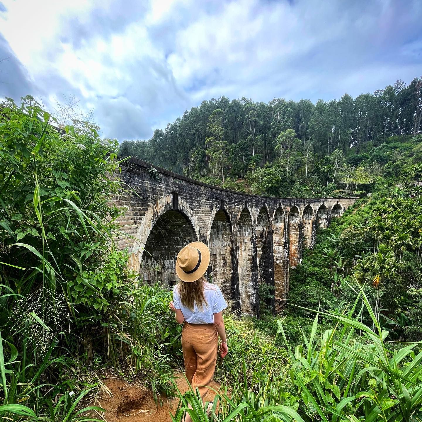 Wow! Цейлон! В погоне за приключениями: киты, горы, чай и святыни (9/96)