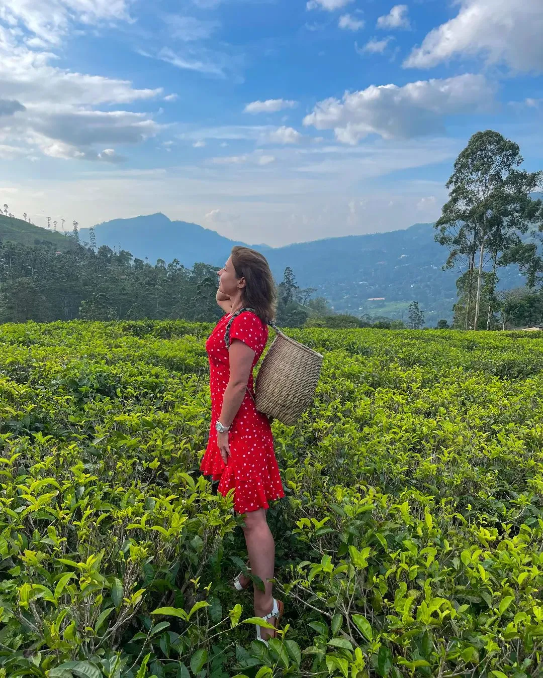 Wow! Цейлон! В погоне за приключениями: киты, горы, чай и святыни (28/96)