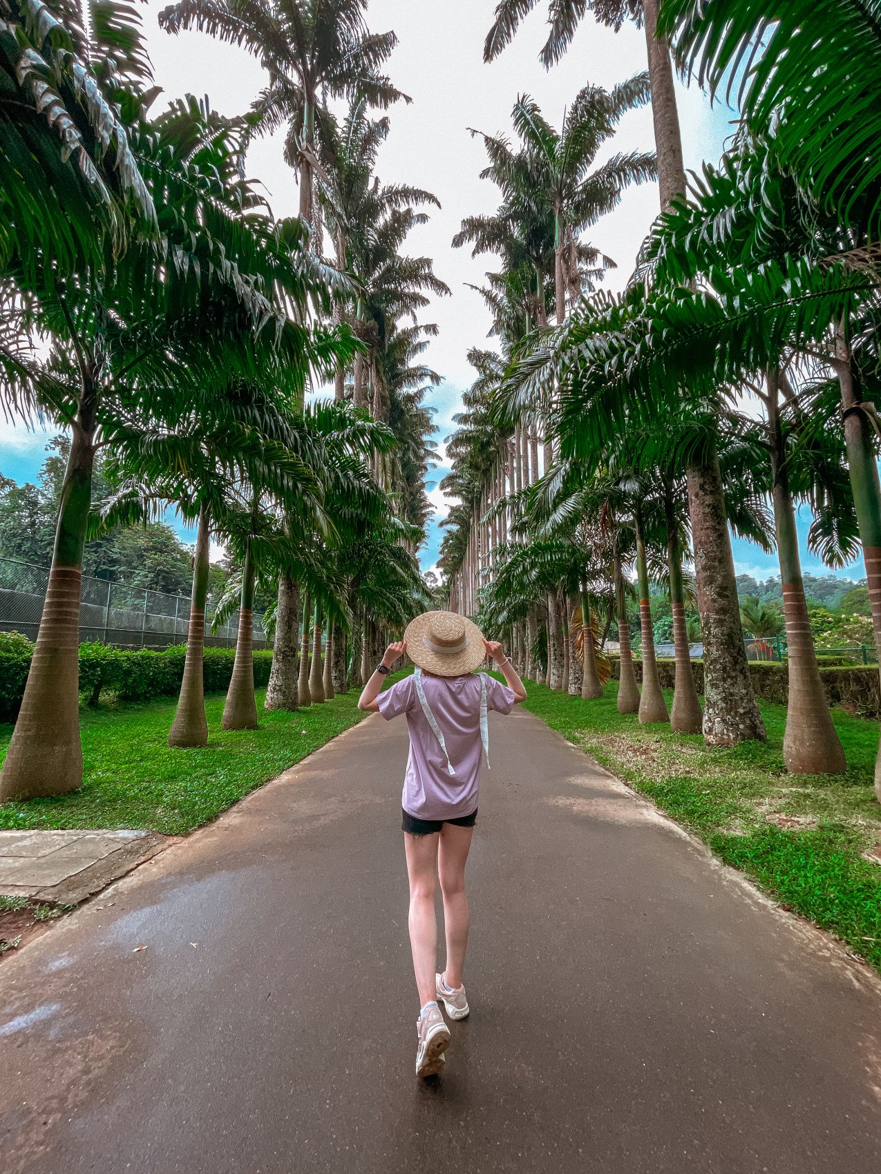 Wow! Цейлон! В погоне за приключениями: киты, горы, чай и святыни (2/96)