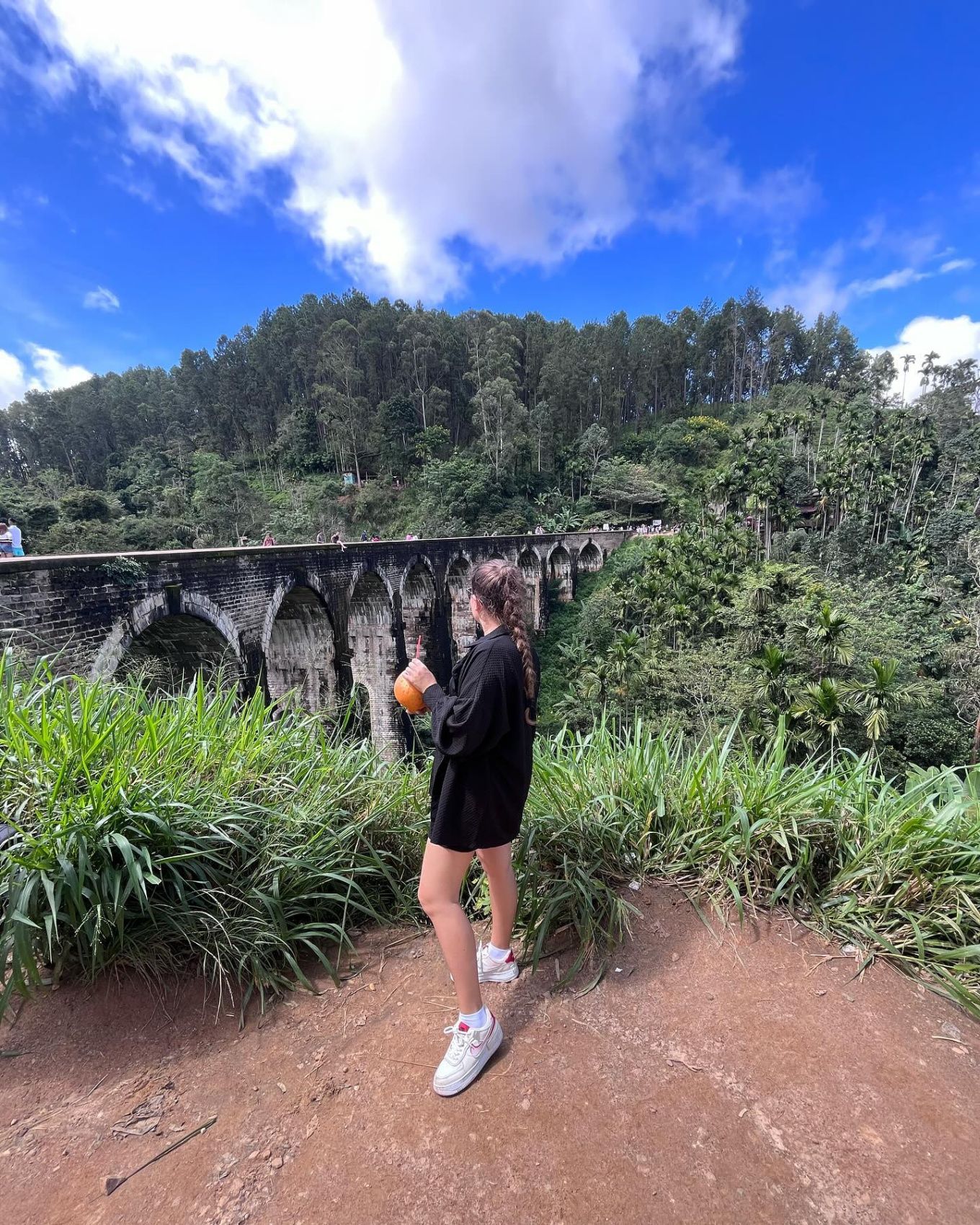 Wow! Цейлон! В погоне за приключениями: киты, горы, чай и святыни (43/96)