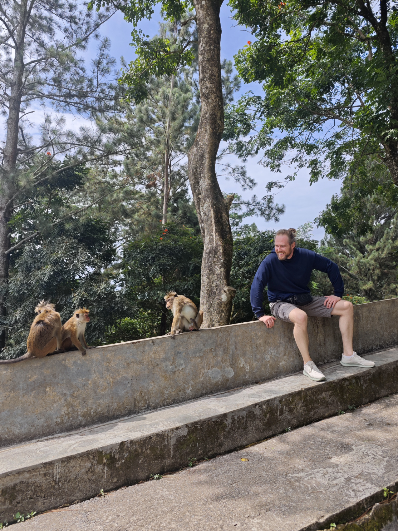 Wow! Цейлон! В погоне за приключениями: киты, горы, чай и святыни (54/96)