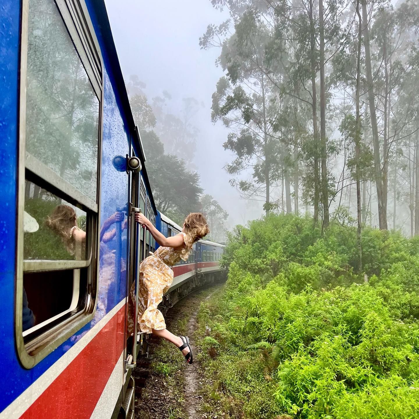 Wow! Цейлон! В погоне за приключениями: киты, горы, чай и святыни (6/96)