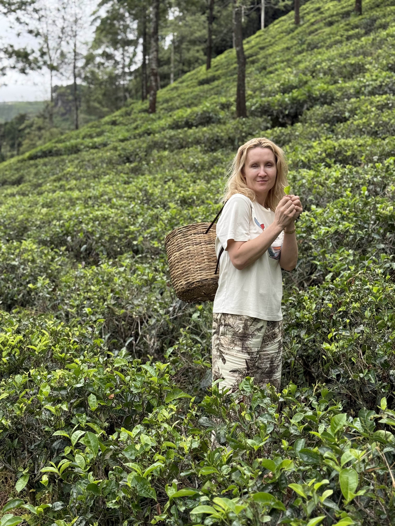 Wow! Цейлон! В погоне за приключениями: киты, горы, чай и святыни (55/96)