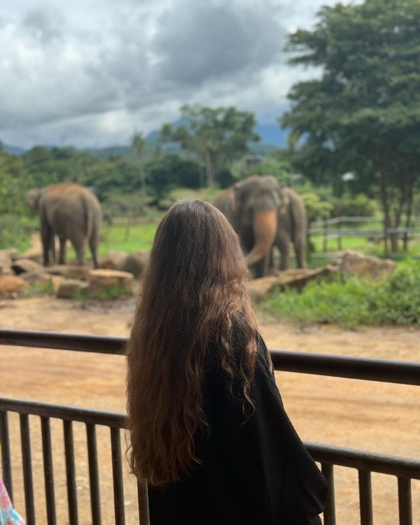 Wow! Цейлон! В погоне за приключениями: киты, горы, чай и святыни (42/96)