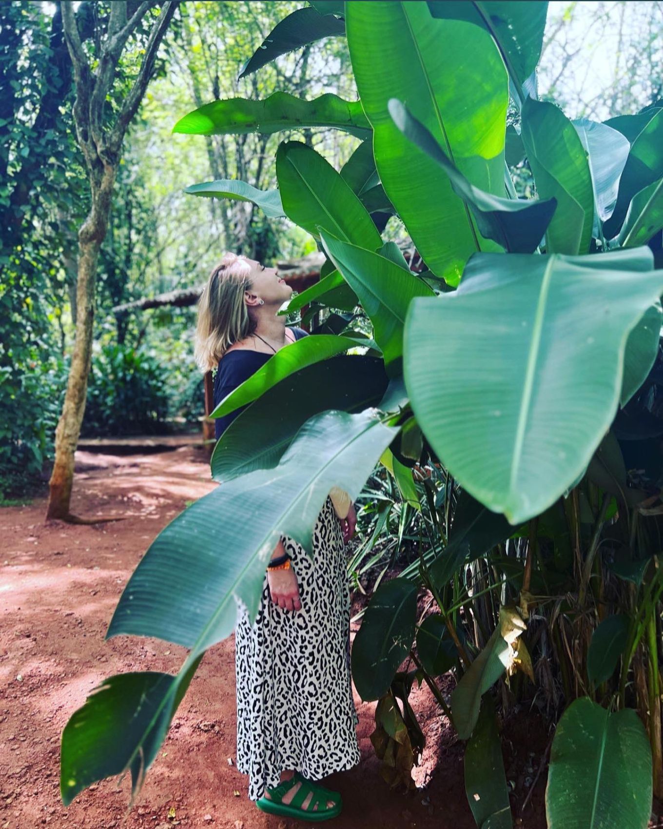 Wow! Цейлон! В погоне за приключениями: киты, горы, чай и святыни (18/96)