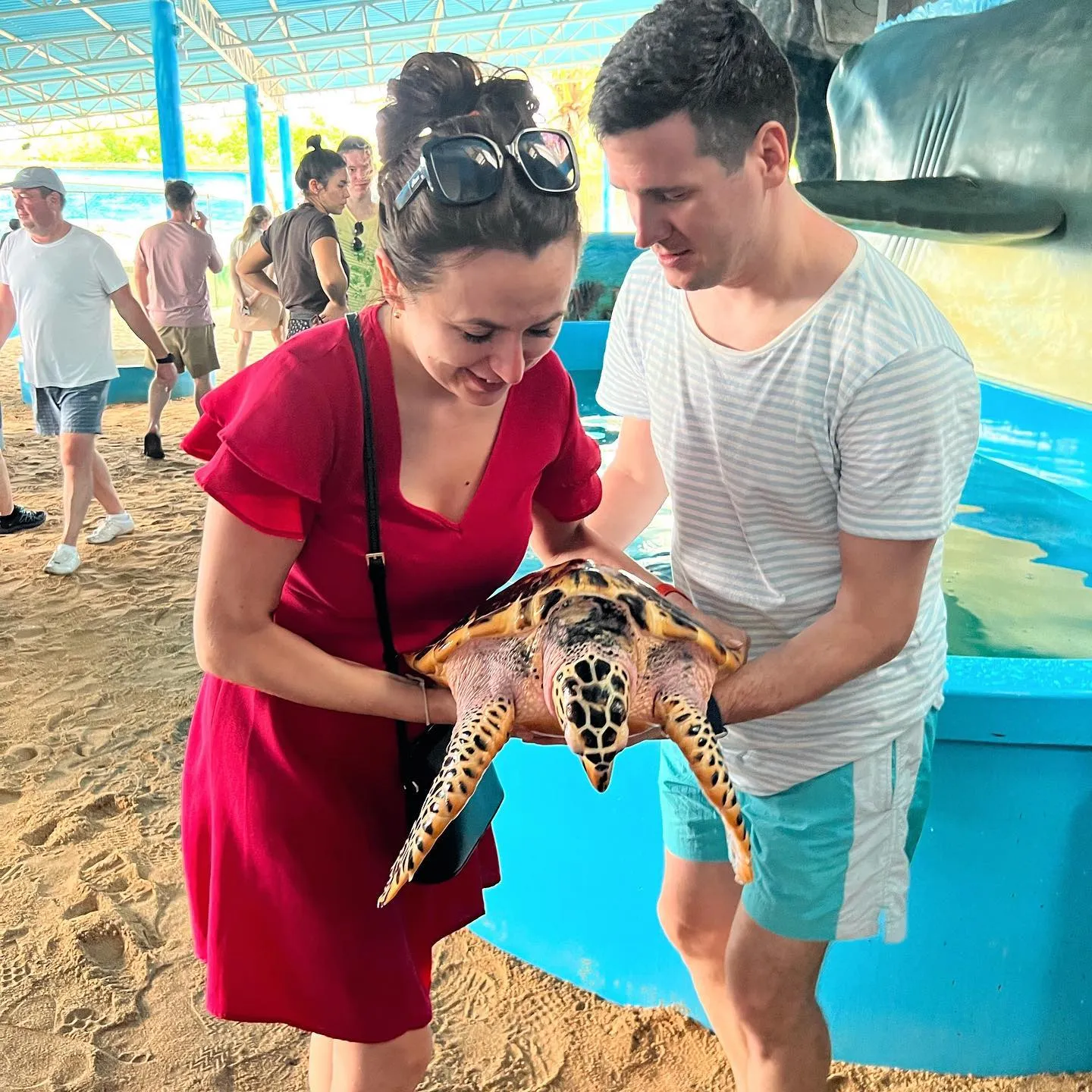 Wow! Цейлон! В погоне за приключениями: киты, горы, чай и святыни (11/96)