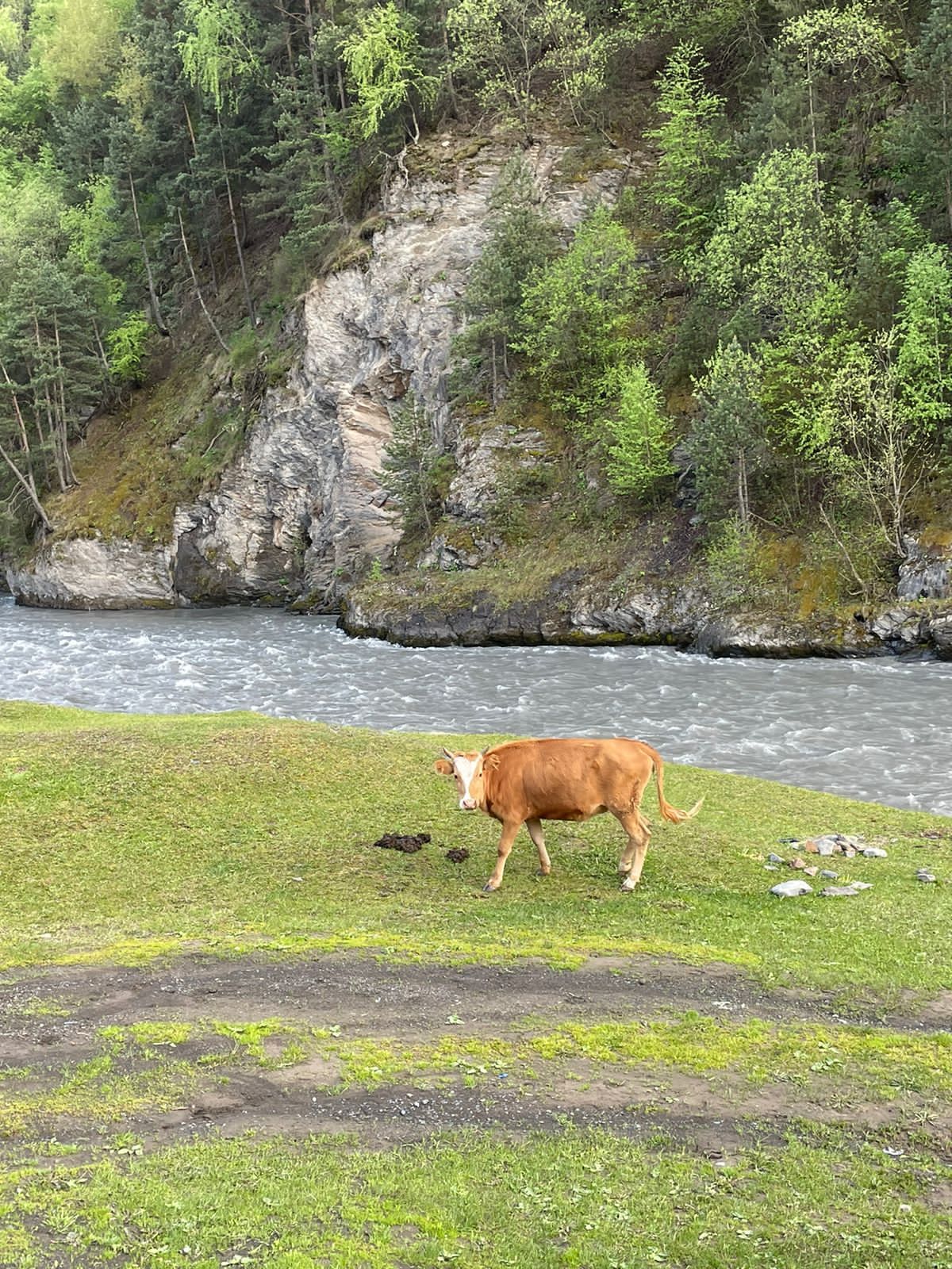 Невероятный Дагестан (25/44)