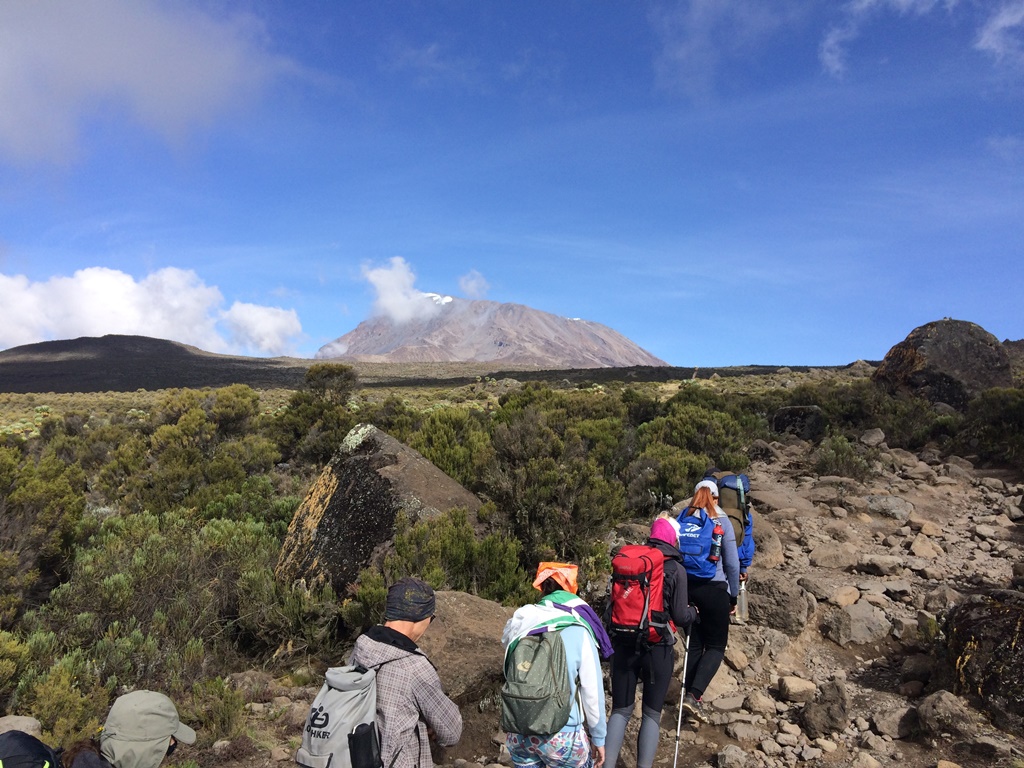 Килиманджаро с акклиматизацией. Гид географ-альпинист. (7/16)