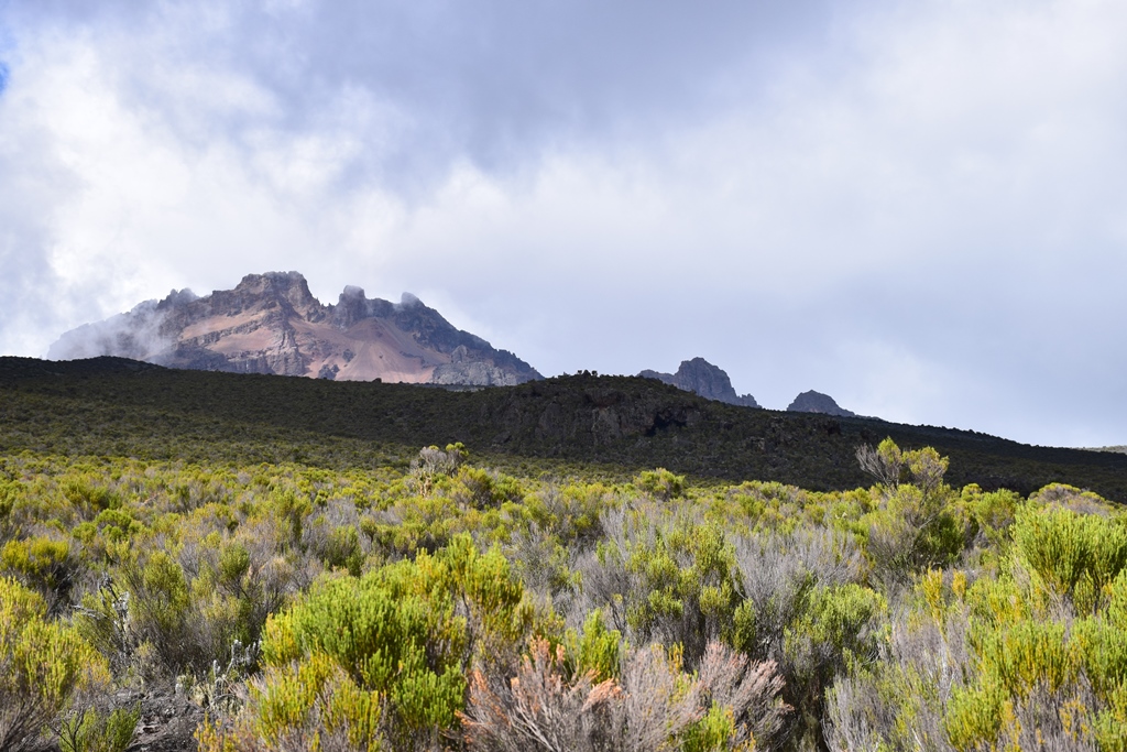 Килиманджаро с акклиматизацией. Гид географ-альпинист. (2/16)