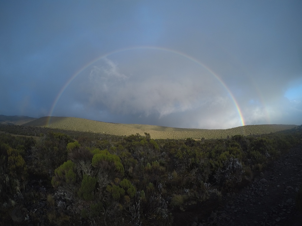 Килиманджаро с акклиматизацией. Гид географ-альпинист. (9/16)