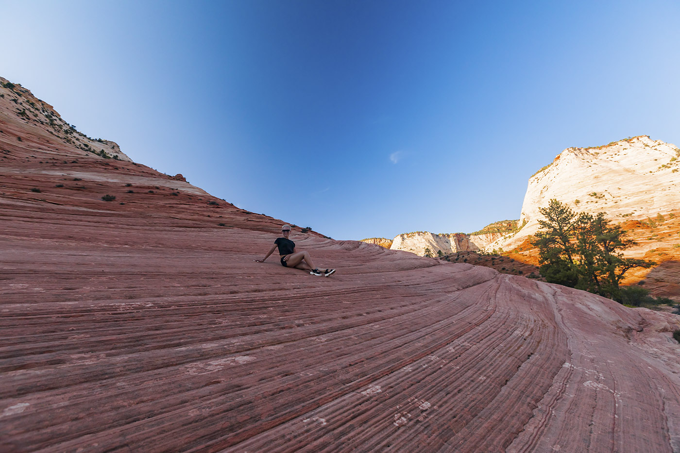 Авто-путешествие по США. Калифорния (3/66)